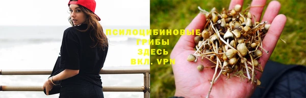 соль курить ск Балабаново