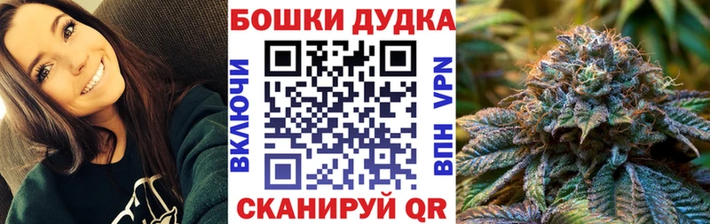 как найти наркотики MEGA как зайти МАРИХУАНА сатива Магас